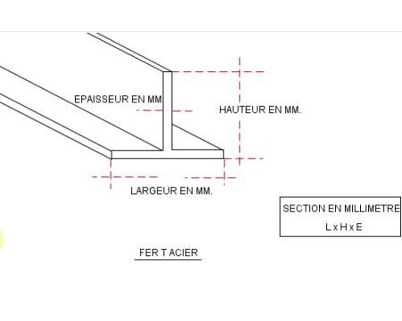 FER TE ACIER 45 X 45 X 5.5 MM NOIR S235