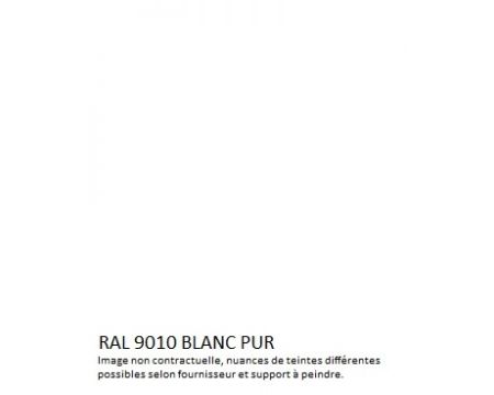 PEINTURE ANTICORROSION BLANC PUR RAL 9010
